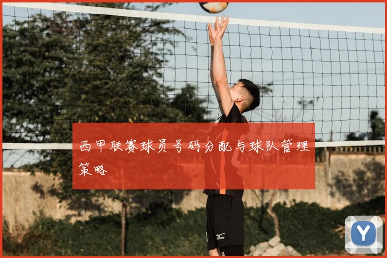 西甲联赛球员号码分配与球队管理策略